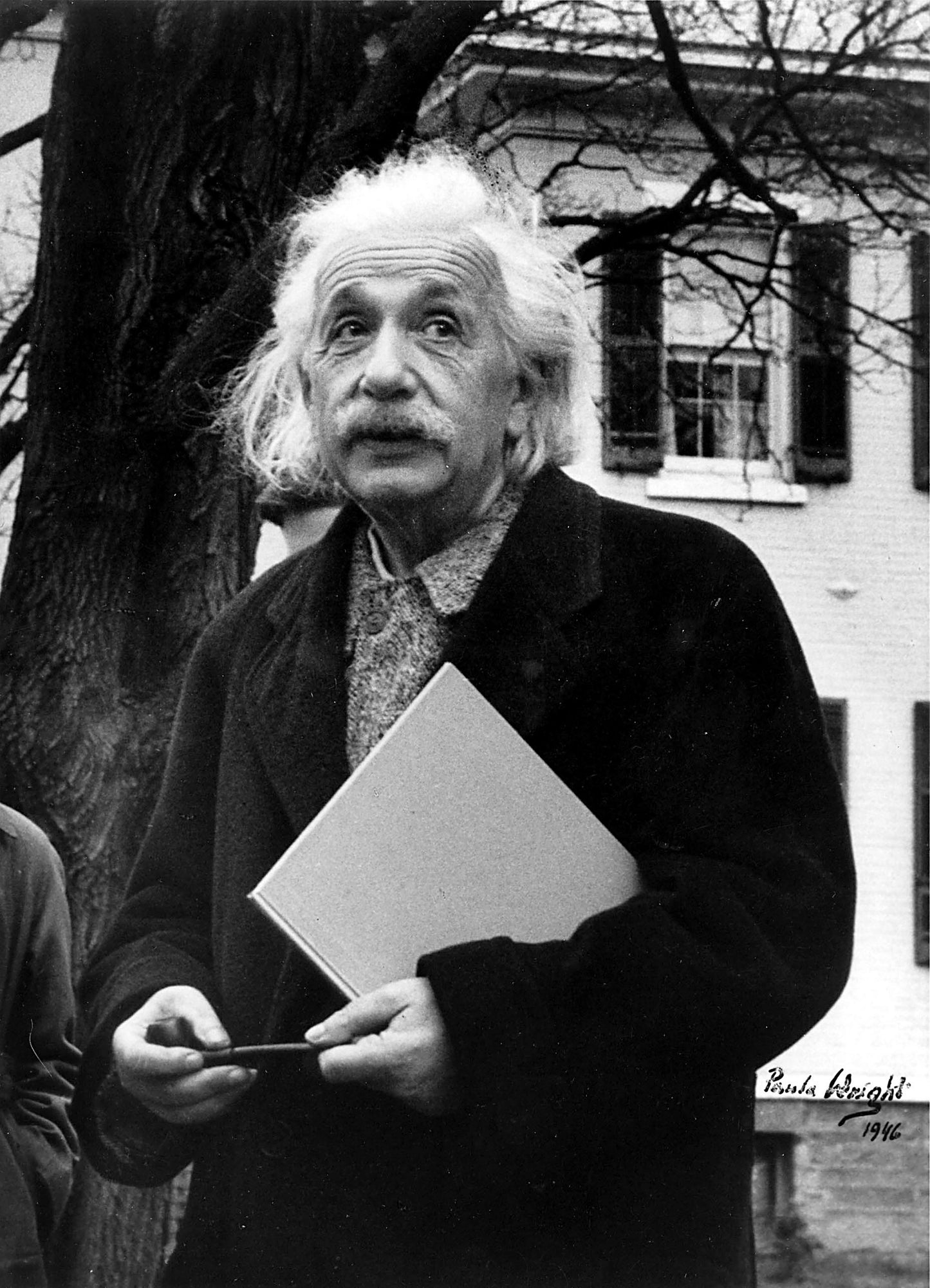Dr. Albert Einstein Iconic Portrait