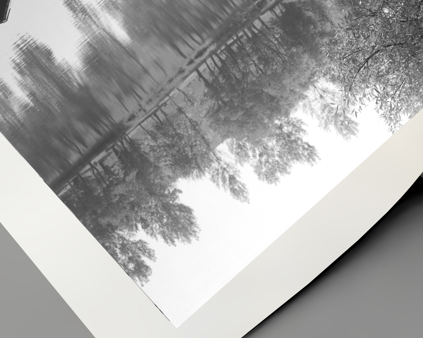 Ray Milland and Rosalind Russel on the Lake