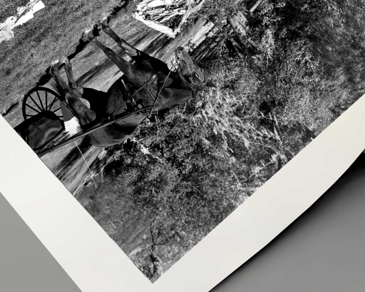 Home in Indiana Water Scene