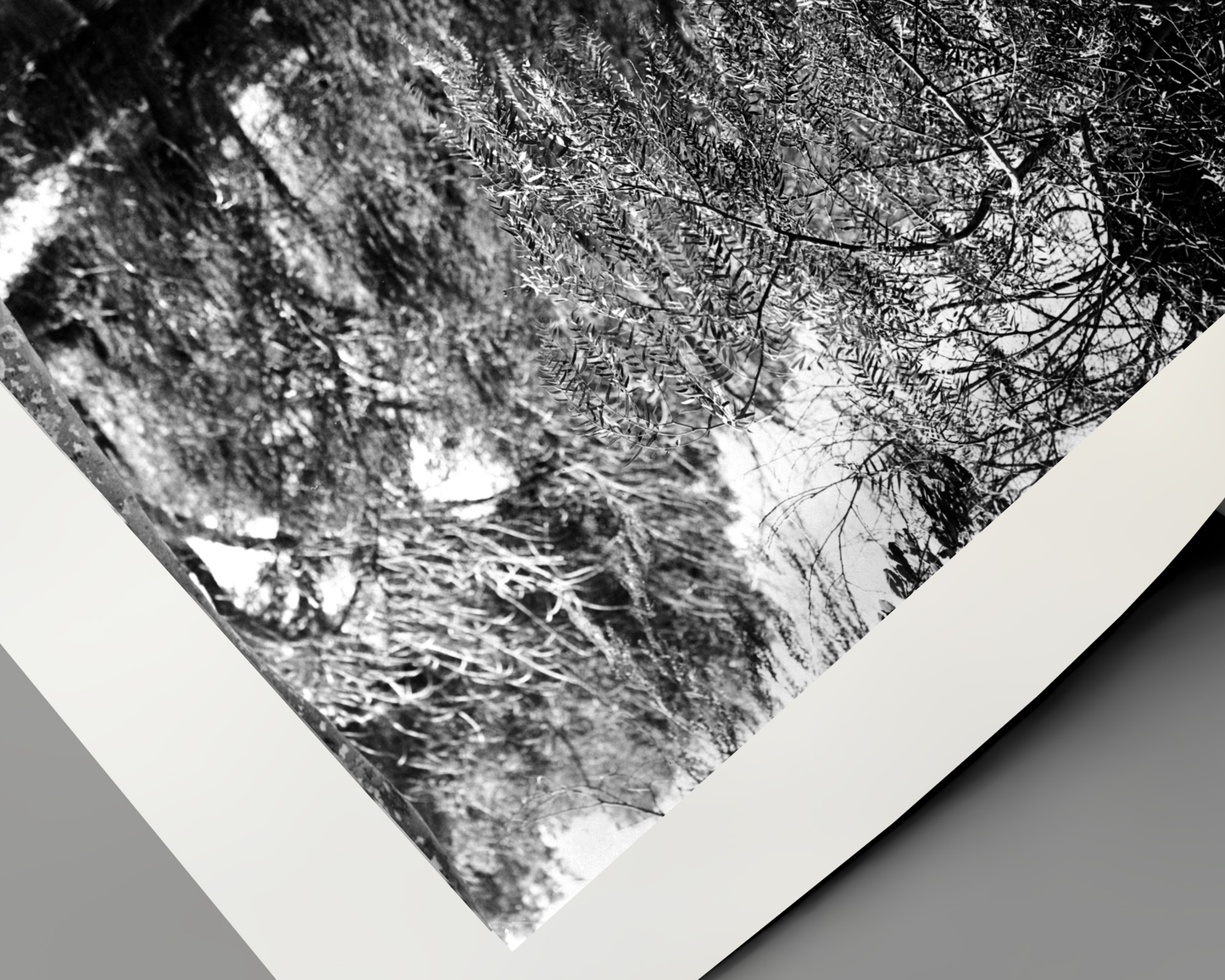 Home in Indiana Lake Scene