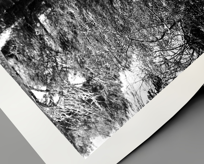 Home in Indiana Lake Scene