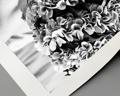 Elizabeth Taylor in Swim Cap