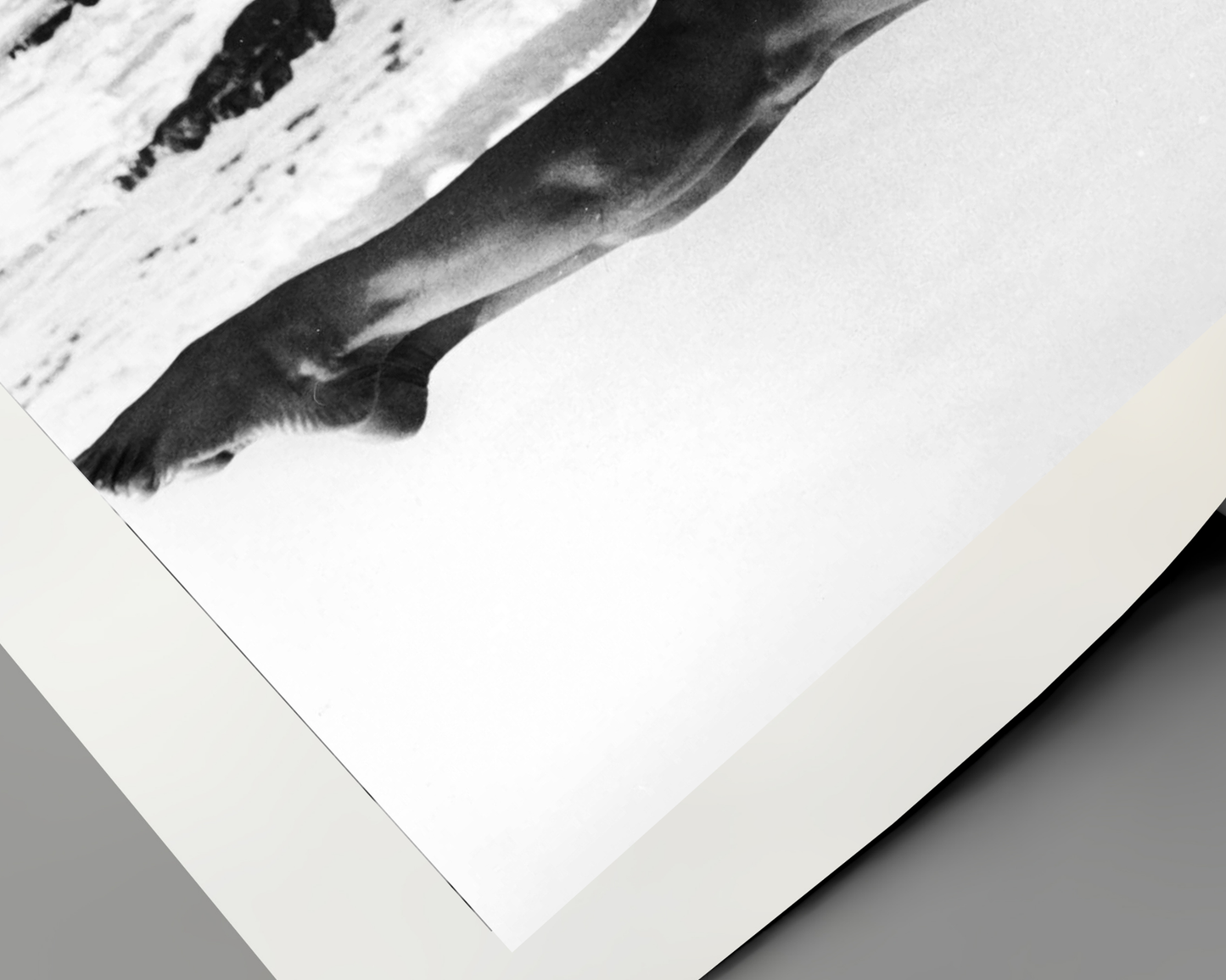 Eartha Kitt: Beach Yoga