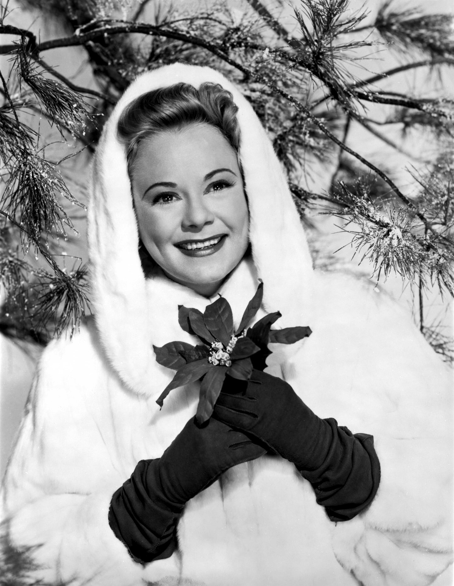 Johnny Cash joue de l'harmonica