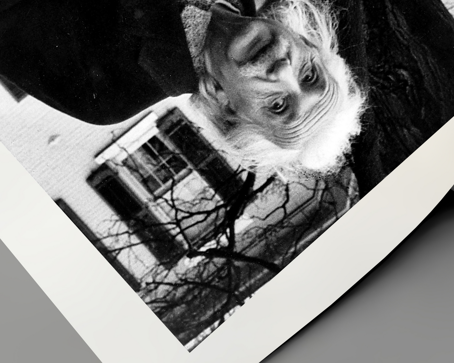 Dr. Albert Einstein Iconic Portrait