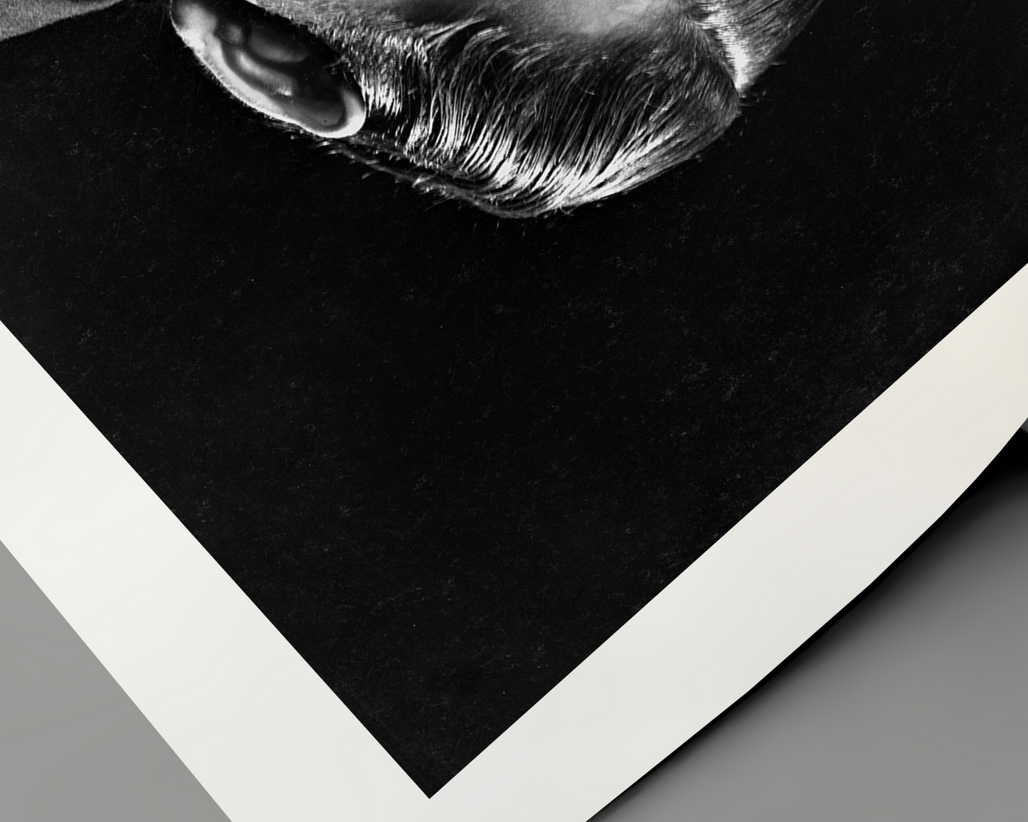 Orson Welles Portrait