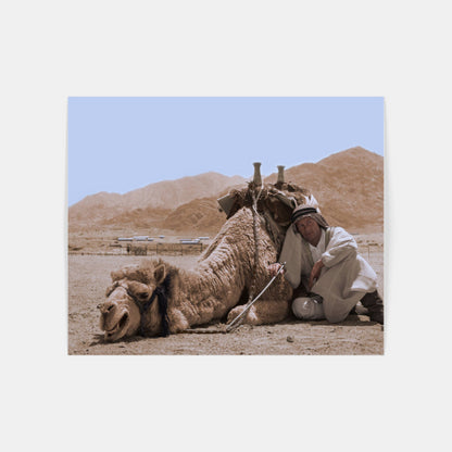 Lawrence of Arabia Camel Scene