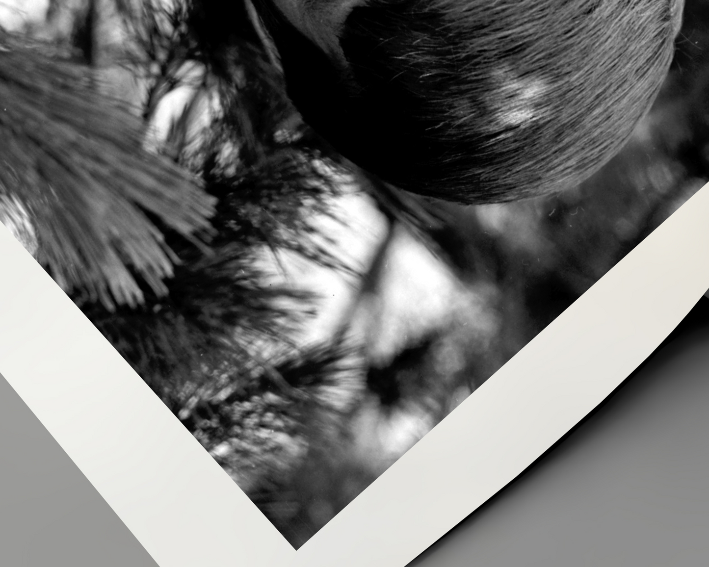 Johnny Cash spielt Mundharmonika