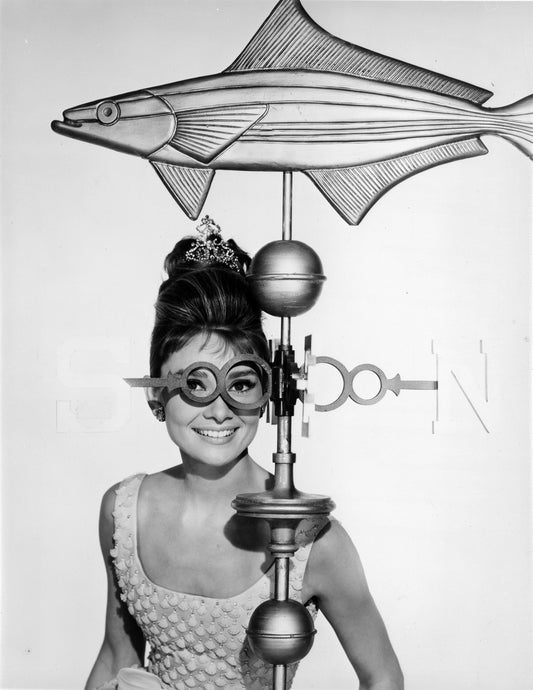 Portrait de poisson d'Audrey Hepburn