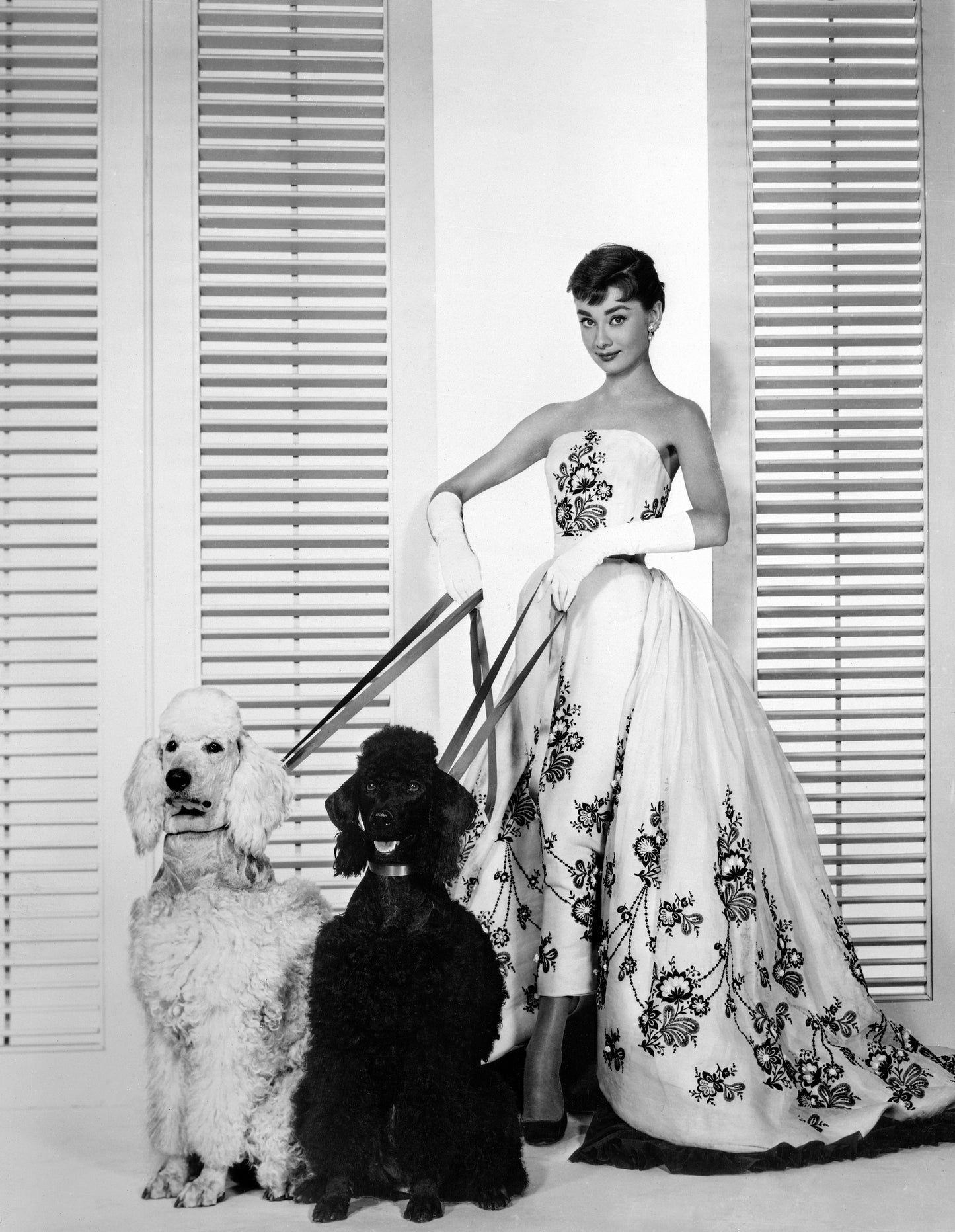 Audrey Hepburn in Gown with Dogs