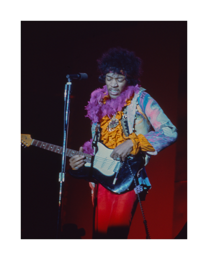 Jimi Hendrix in Purple Boa at Monterey Pop