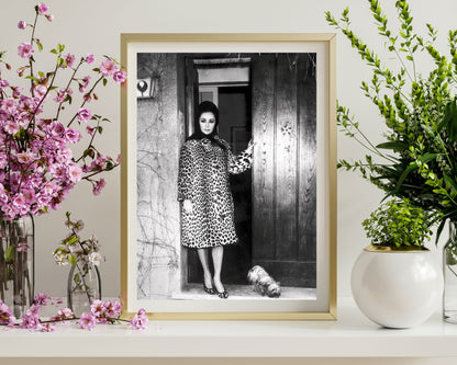 Elizabeth Taylor im Mantel mit Leopardenmuster