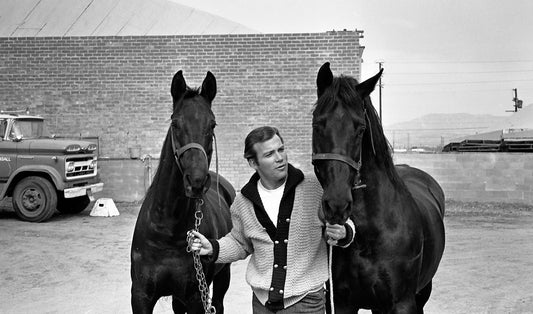 William Shatner and His Stallions