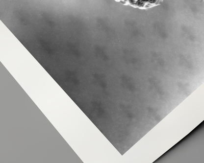 Johnny Cash joue de l'harmonica