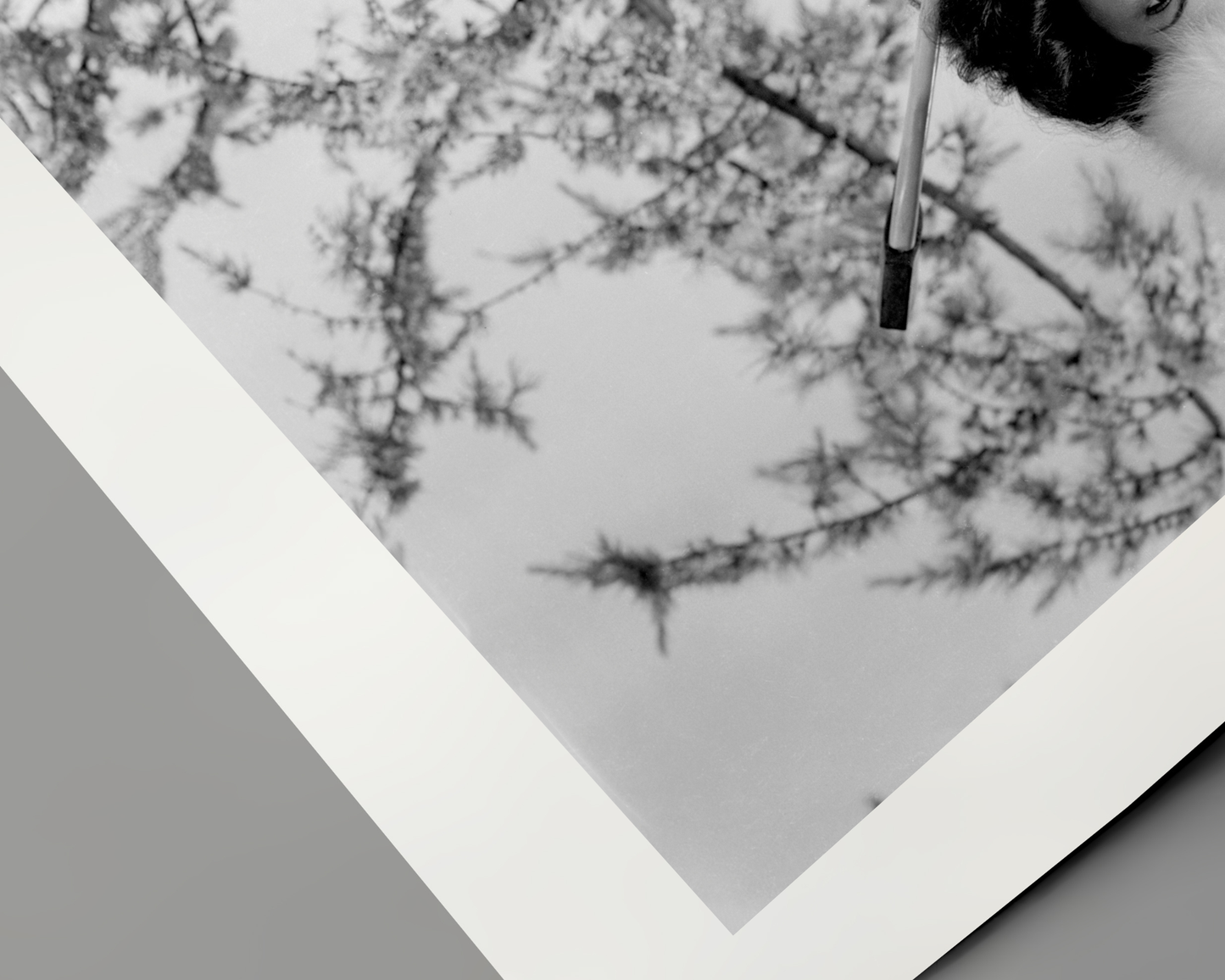 Johnny Cash joue de l'harmonica