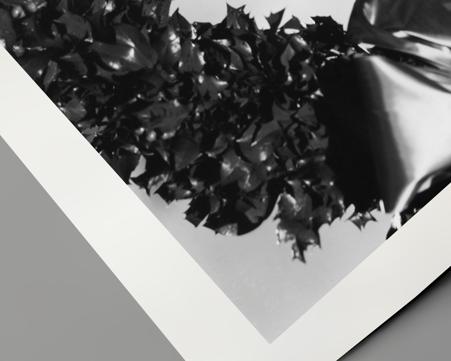 Johnny Cash joue de l'harmonica