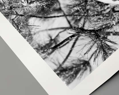 Johnny Cash joue de l'harmonica