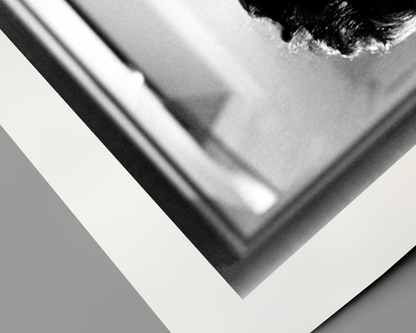 Johnny Cash spielt Mundharmonika