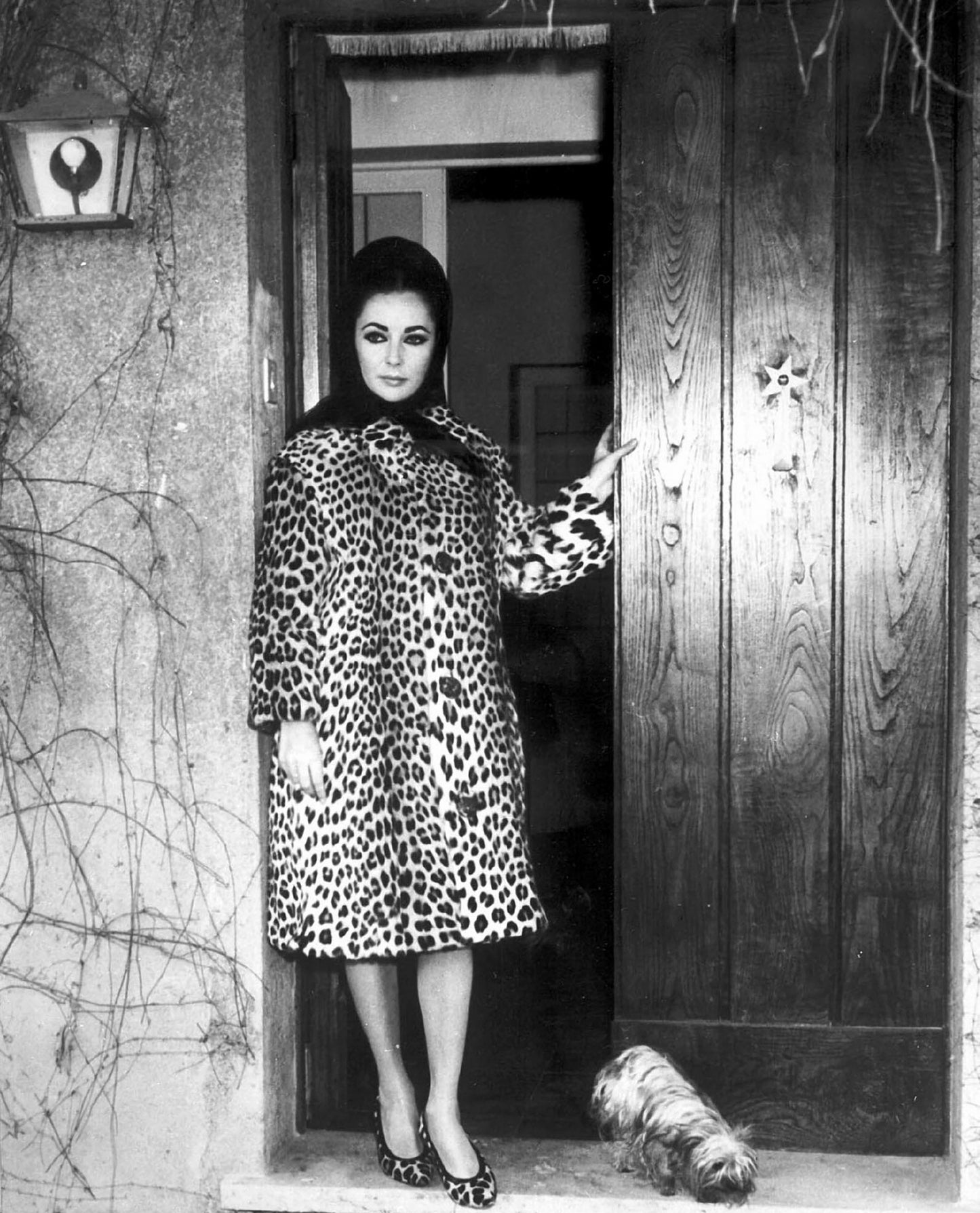 Elizabeth Taylor im Mantel mit Leopardenmuster