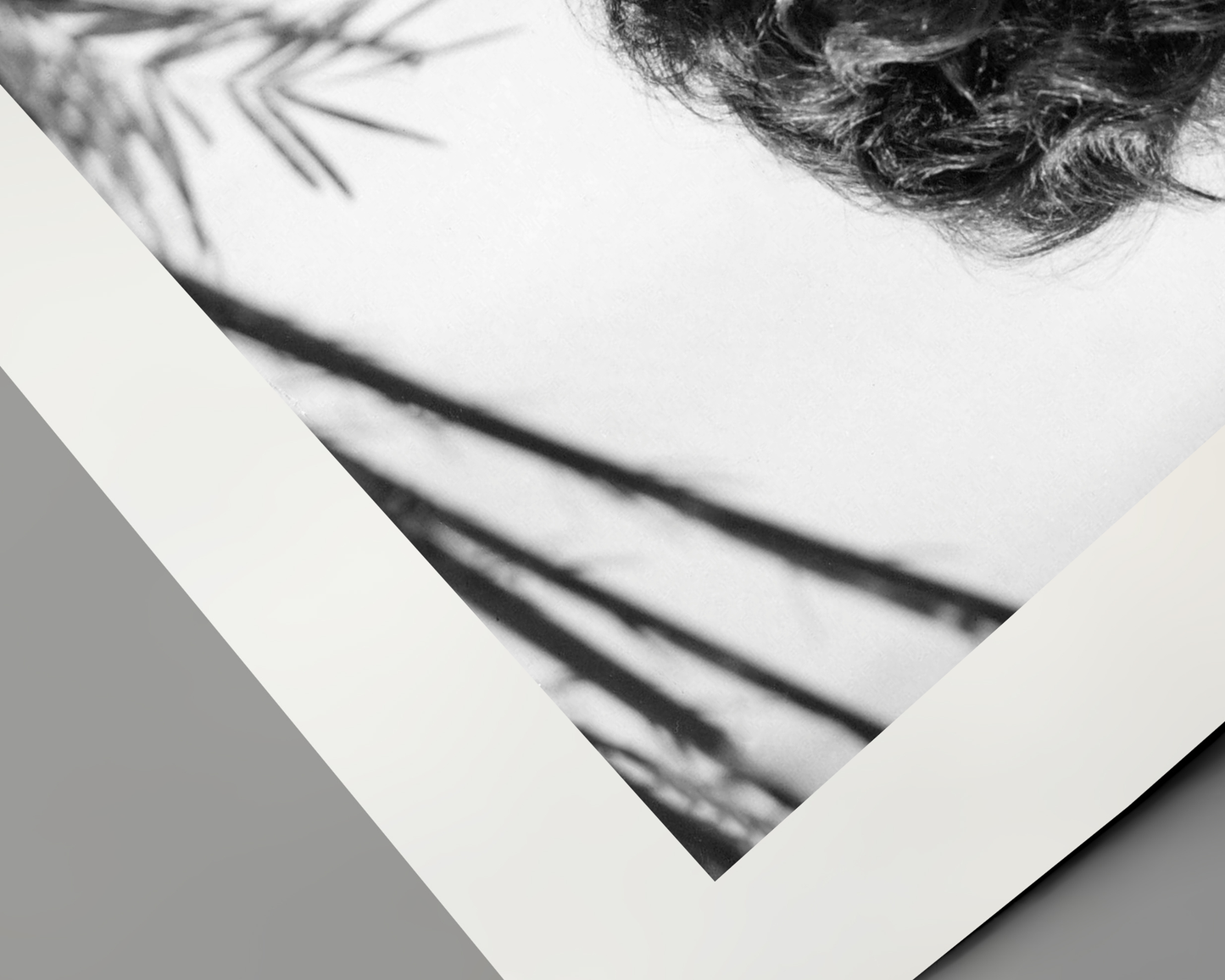 Sophia Loren: Diese Augen