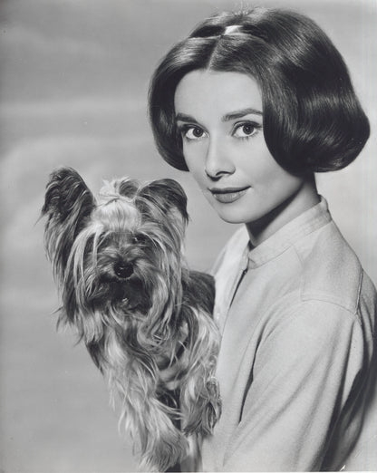 Audrey Hepburn Holding Dog