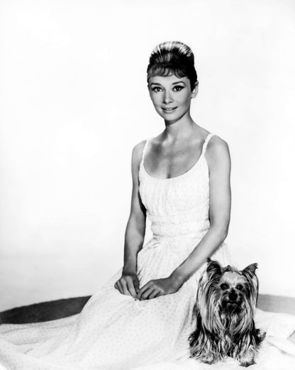 Audrey Hepburn Sitting with Dog