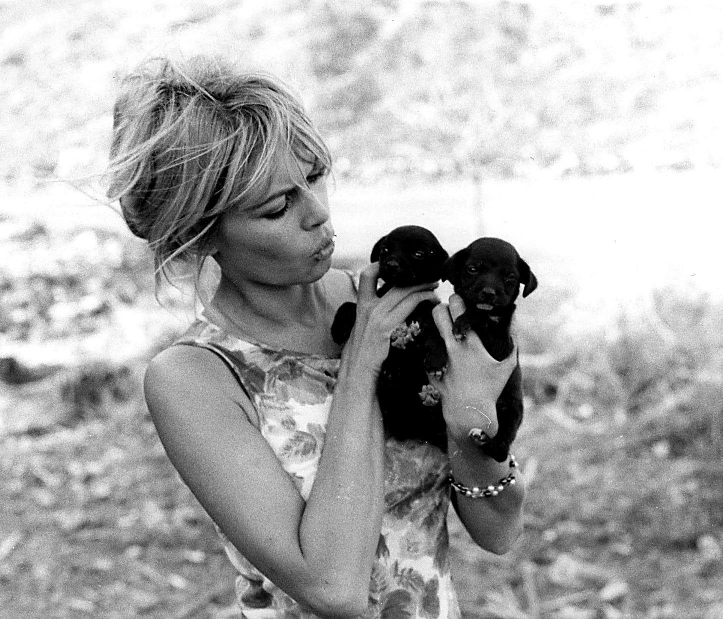 Brigitte Bardot Holding Puppies