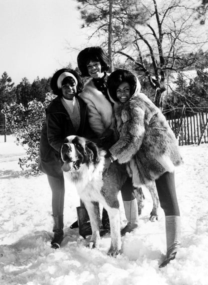 The Supremes in the Snow