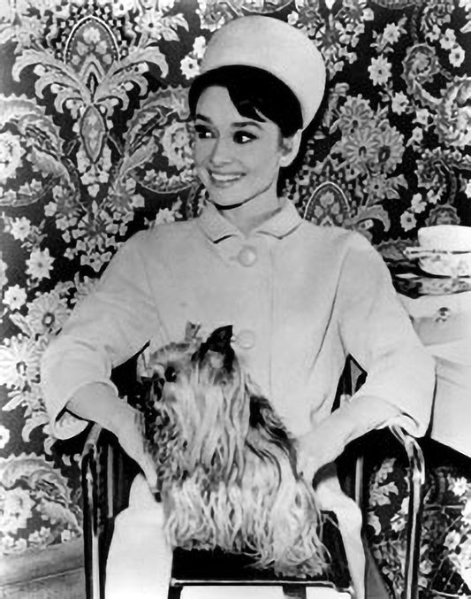 Audrey Hepburn Smiling with Dog