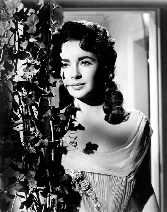 Johnny Cash spielt Mundharmonika