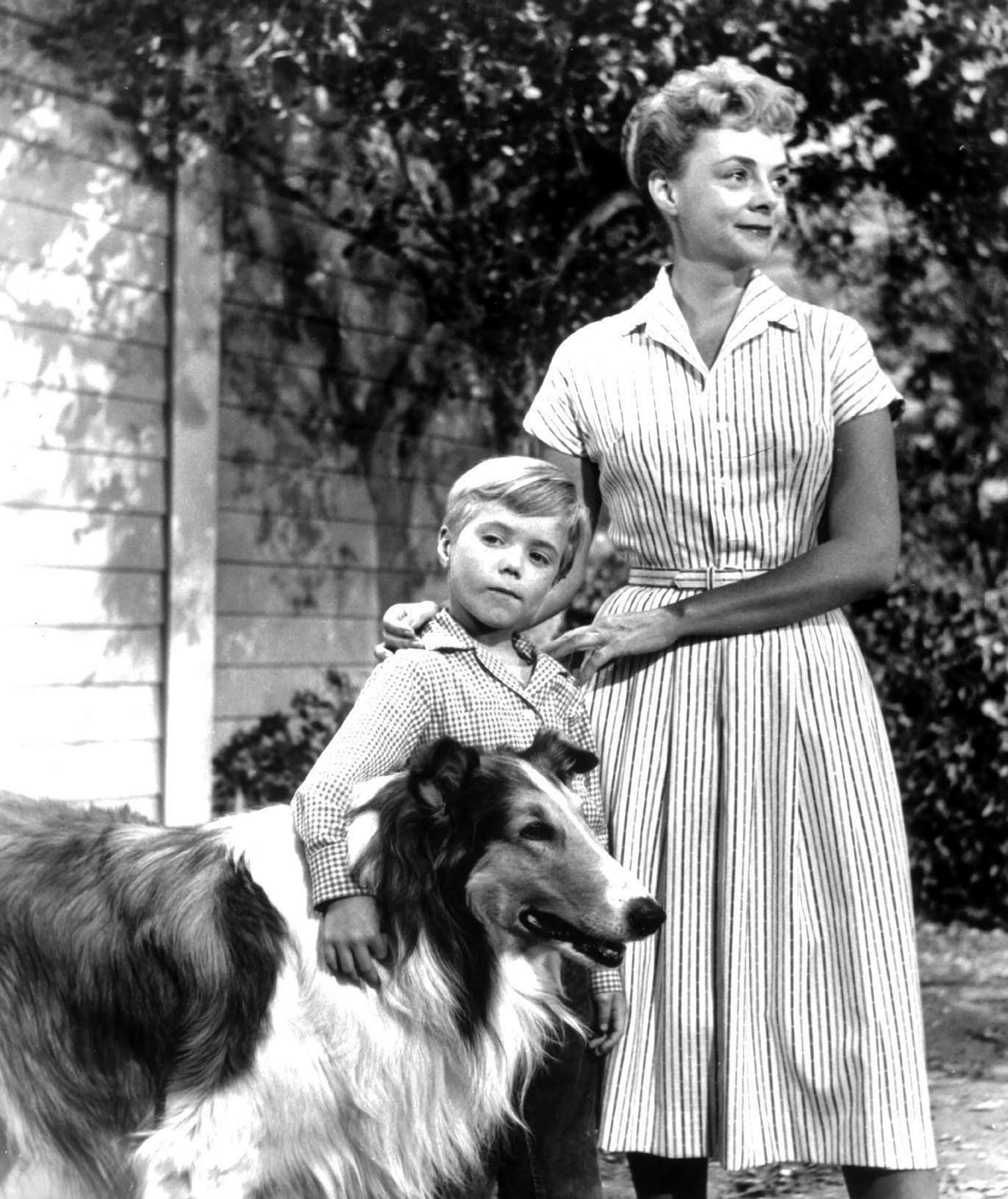 Film Still from Lassie