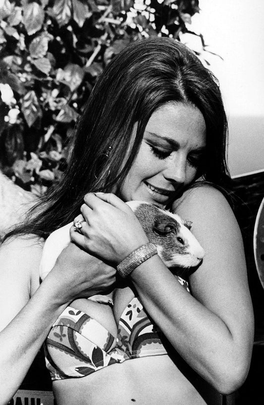 Natalie Wood and Guinea Pig