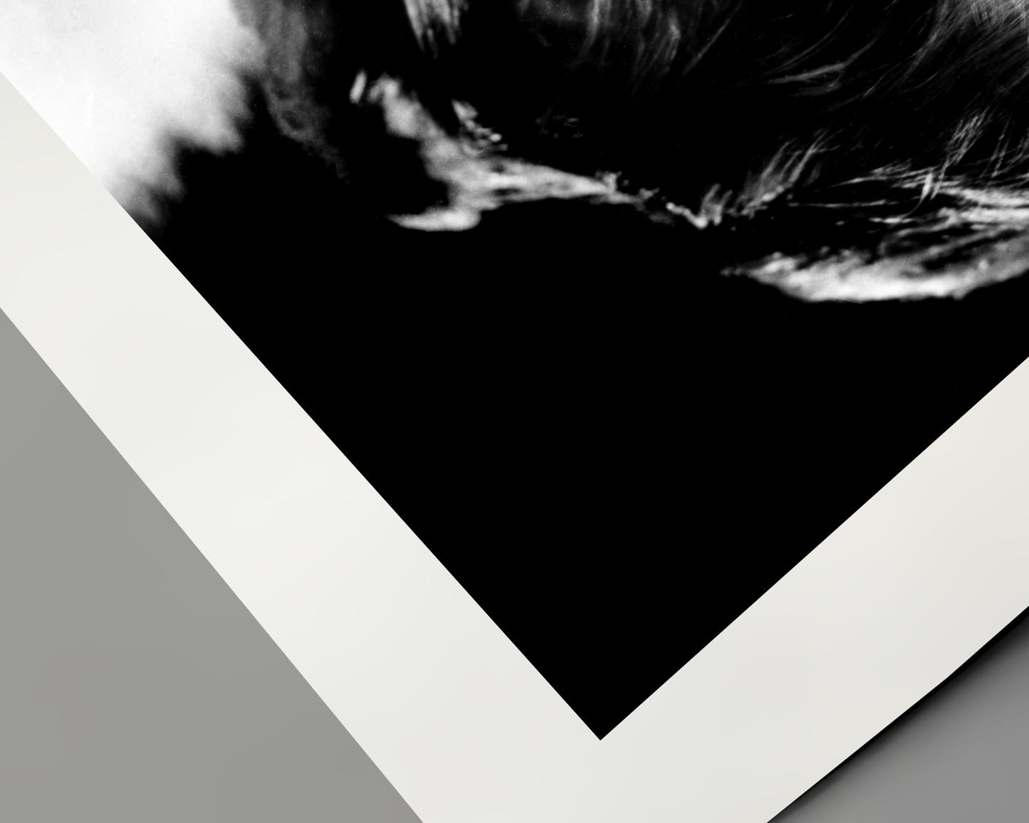 Johnny Cash joue de l'harmonica