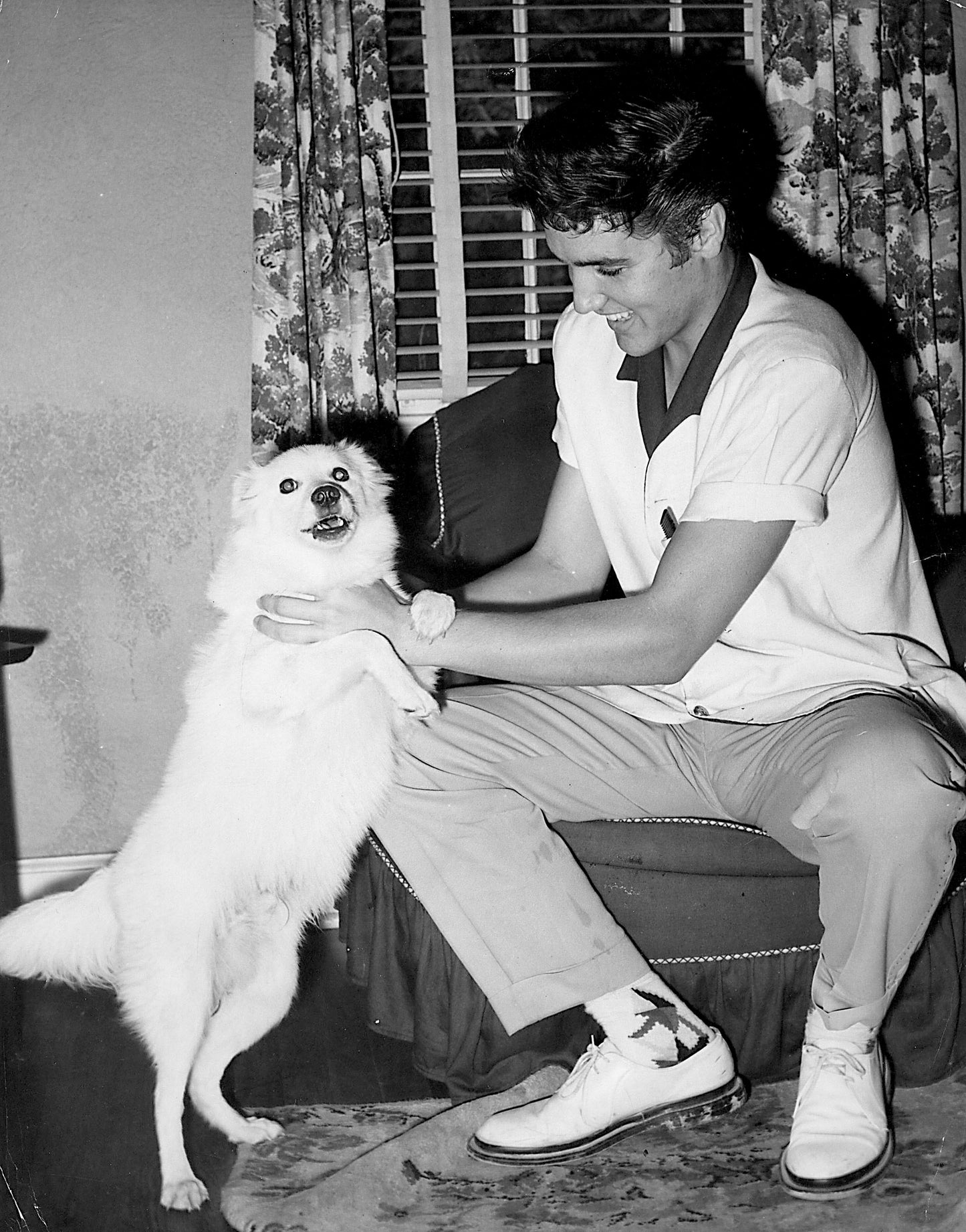 Elvis Presley Petting Dog