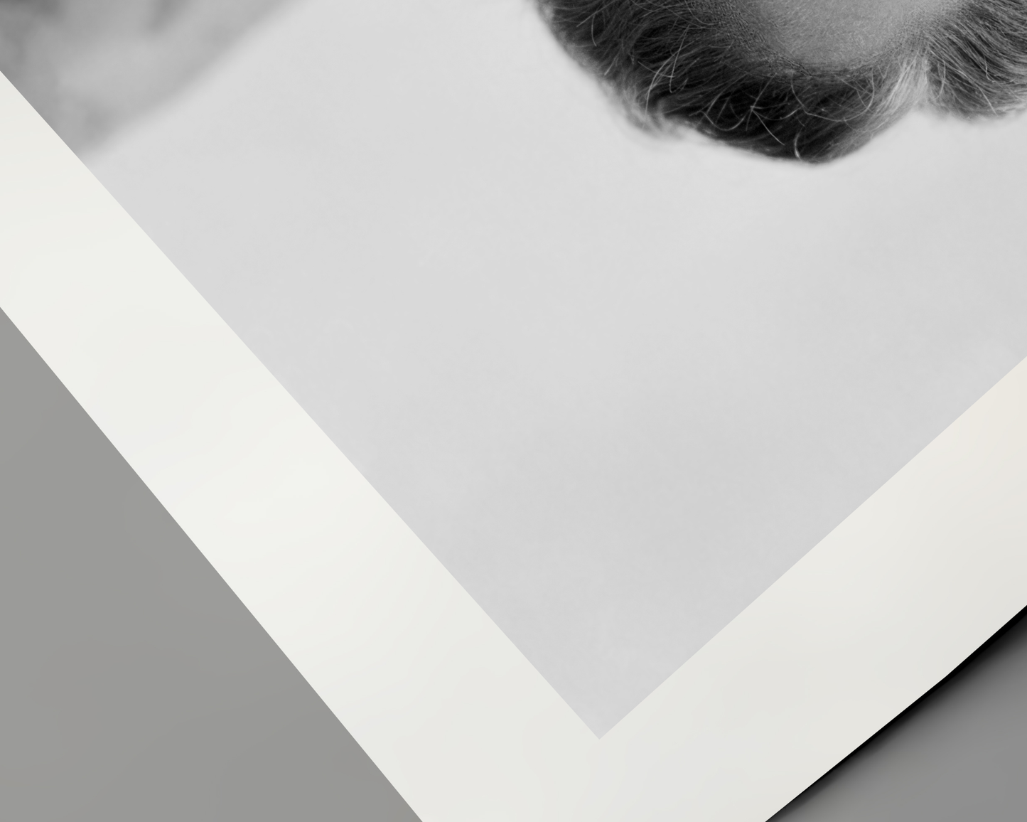 Johnny Cash spielt Mundharmonika