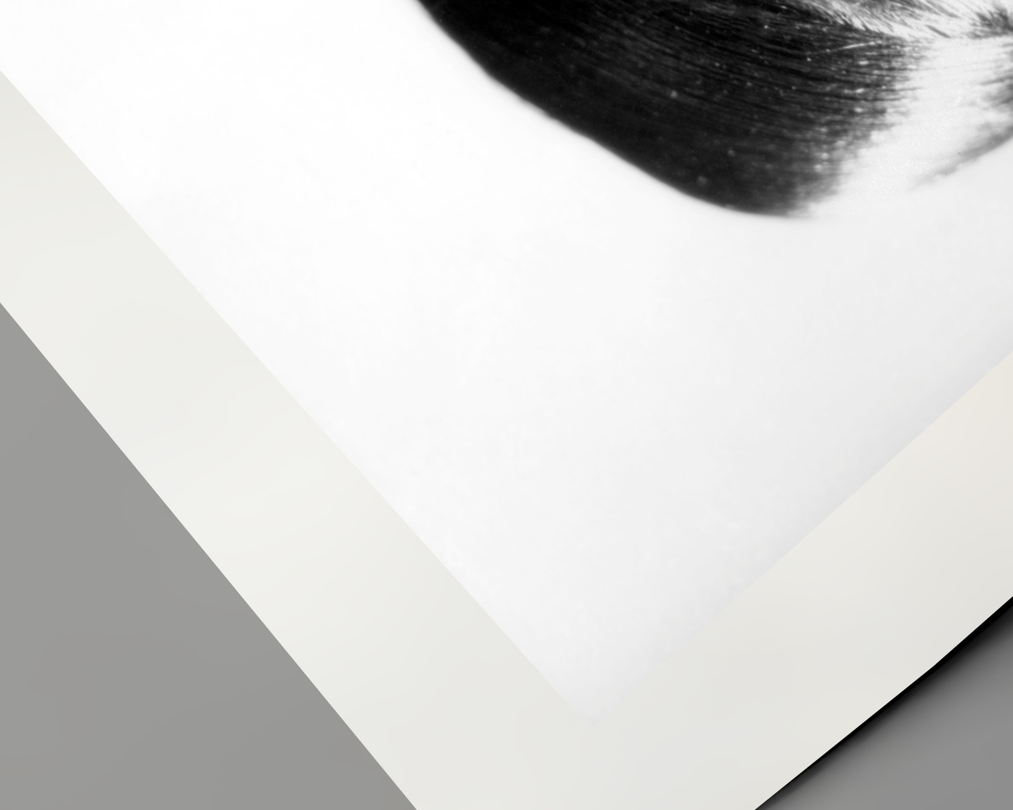 Johnny Cash spielt Mundharmonika