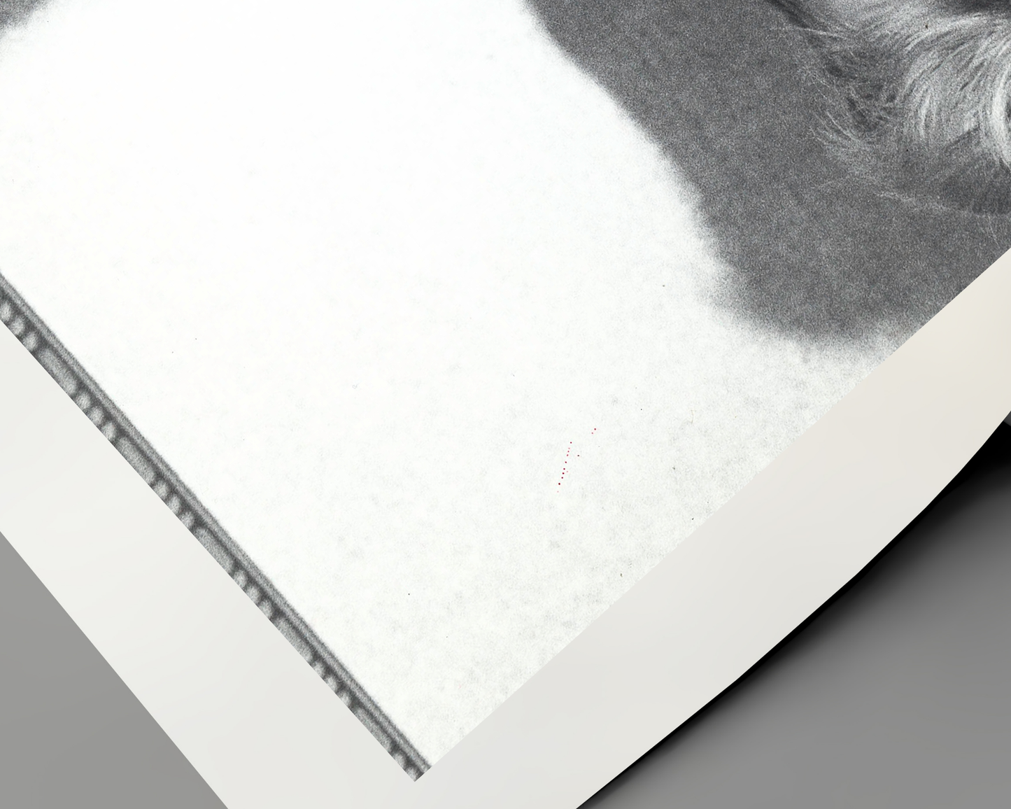 Johnny Cash spielt Mundharmonika