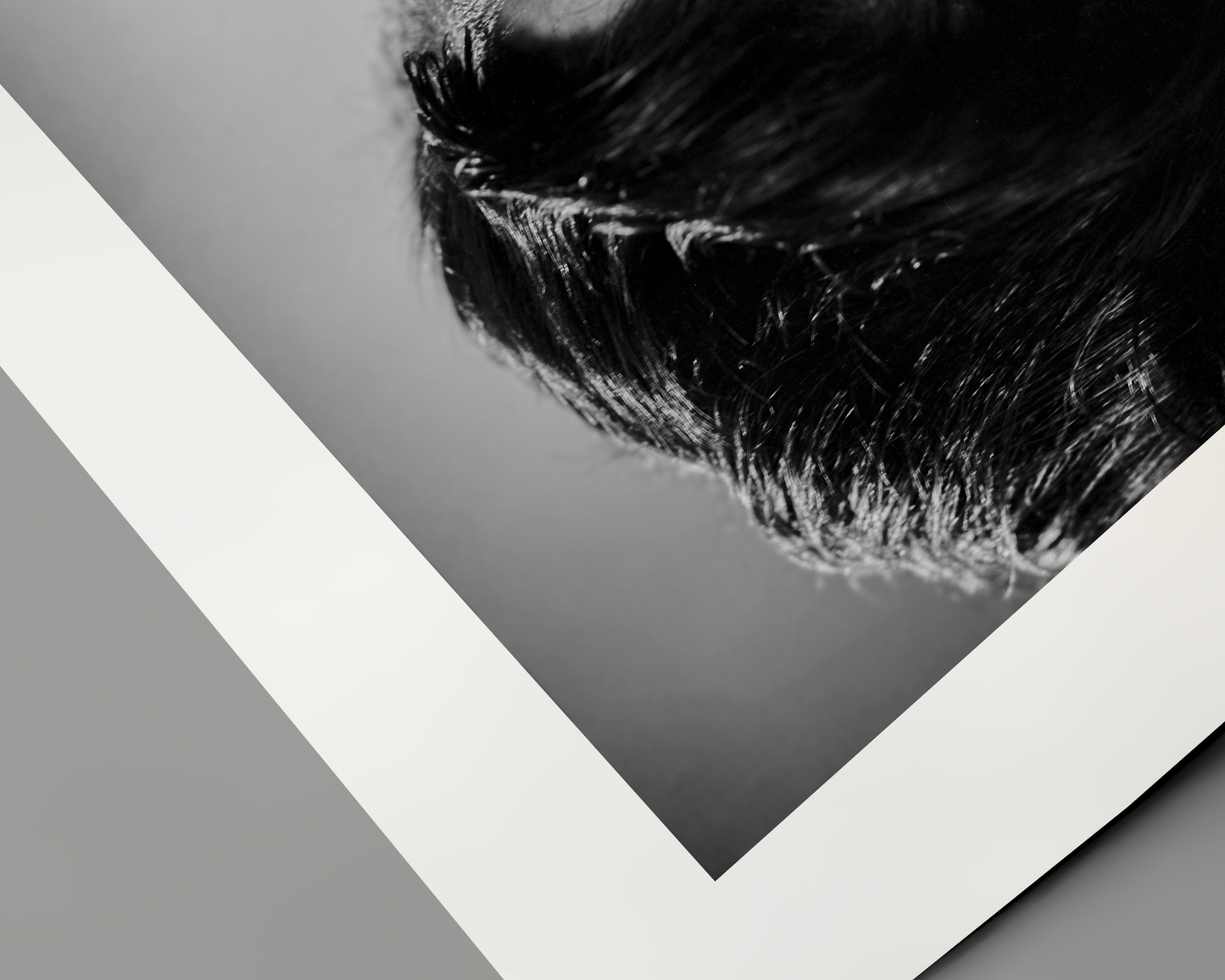 Gregory Peck Closeup Portrait