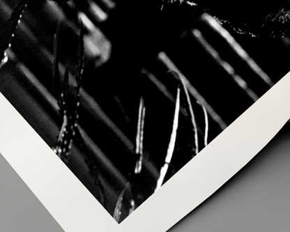 Johnny Cash spielt Mundharmonika