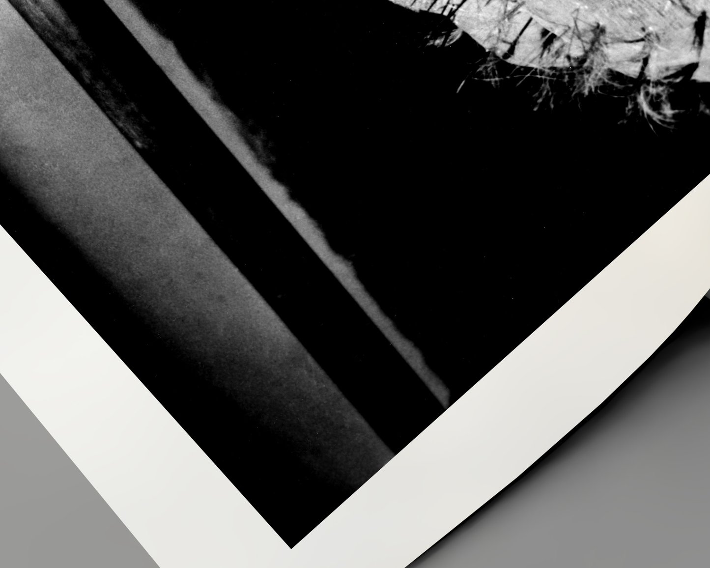 Johnny Cash joue de l'harmonica