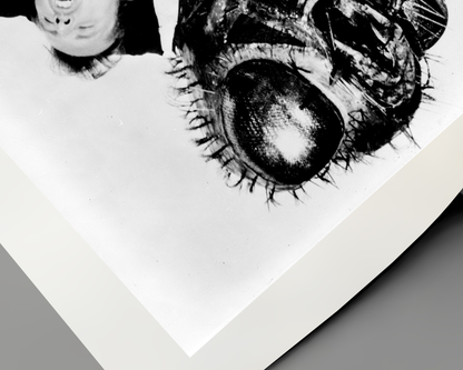 Johnny Cash joue de l'harmonica