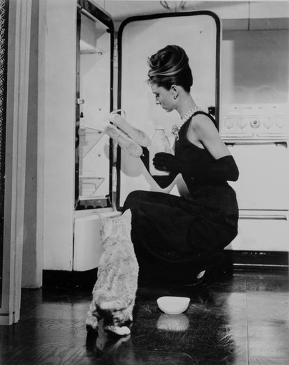 Audrey Hepburn: Nur für einen Moment zu Hause