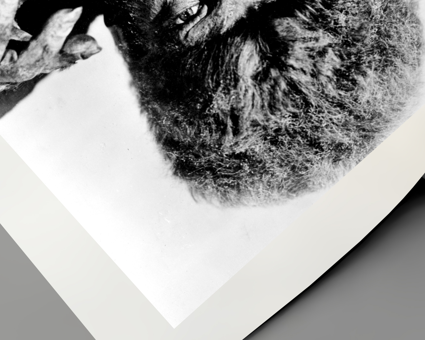 Lon Chaney Jr: "The Wolf Man"