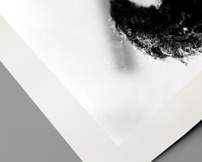 Johnny Cash joue de l'harmonica