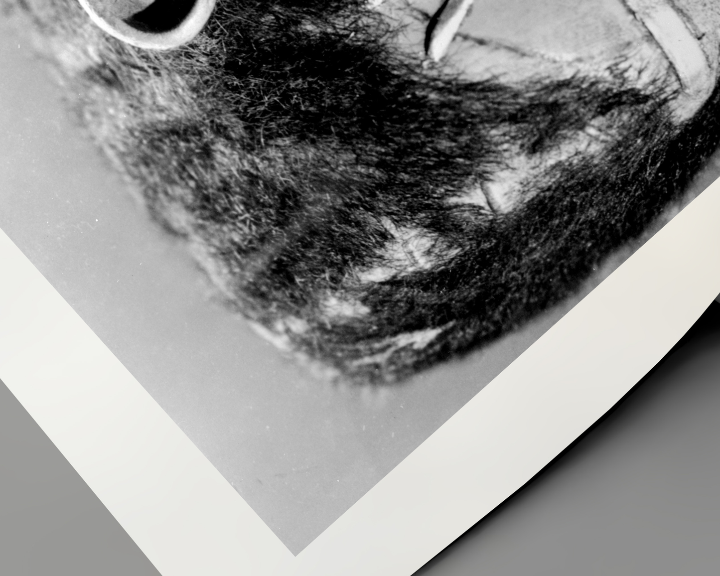 Johnny Cash joue de l'harmonica