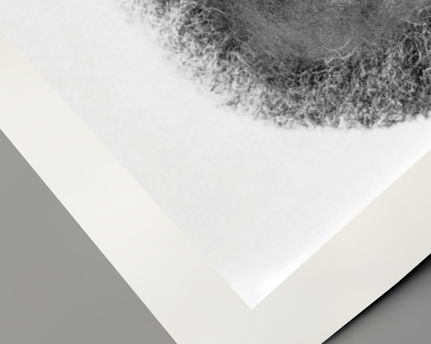 Johnny Cash joue de l'harmonica