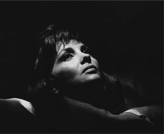 Light and Shadow, Gina Lollobrigida