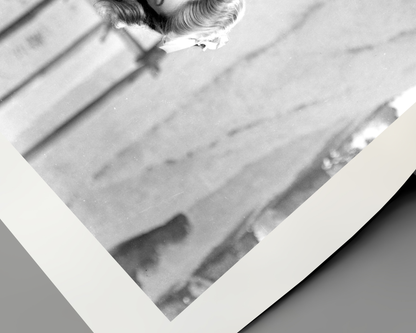 Johnny Cash spielt Mundharmonika