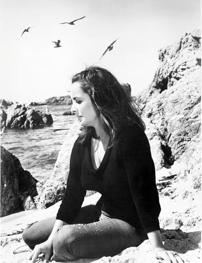 Elizabeth Taylor Sitting on Beach