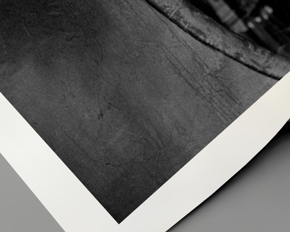 Johnny Cash spielt Mundharmonika